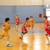 esordienti vs verona basket aprile 2011