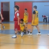 aquilotti NBA febbraio 2011 vs charly