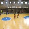 Aquilotti con lo Junior Basket Rovereto