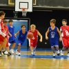 Gemellaggio con Rovereto by Nikola L.