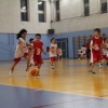 Aquilotti fg foto by Giudi - visita gallery minibasket