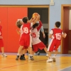 Aquilotti fg foto by Giudi - visita gallery minibasket
